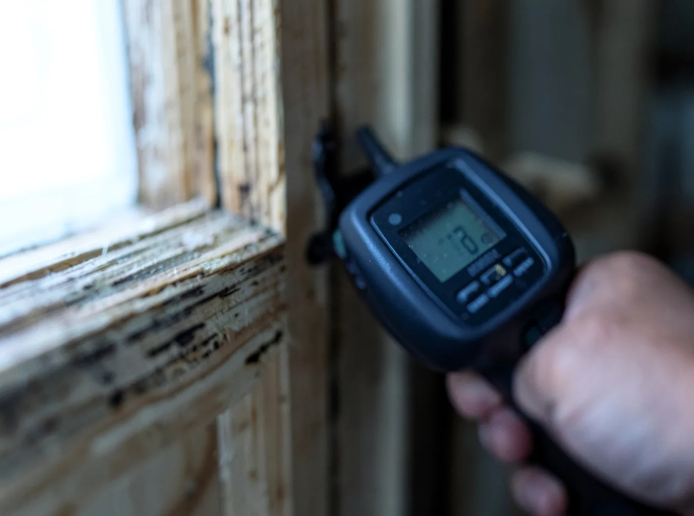 Moisture Inspection And Documentation in Hazel Green, AL